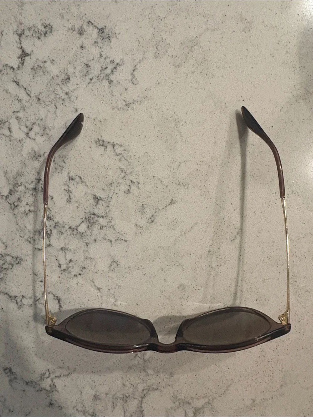 Ray-Ban ERIKA Dark Brown Sunglasses with Case